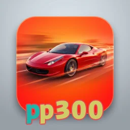 pp300