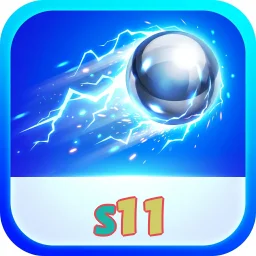 s11