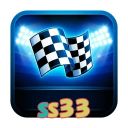 ss33