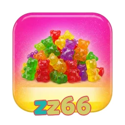 zz66